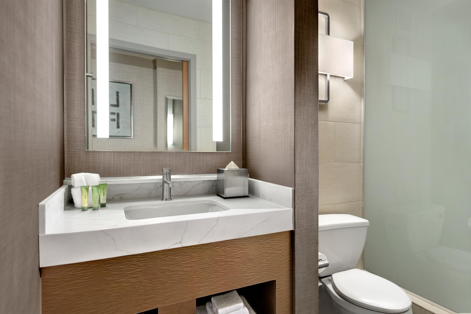 Elevate King Bathroom 2